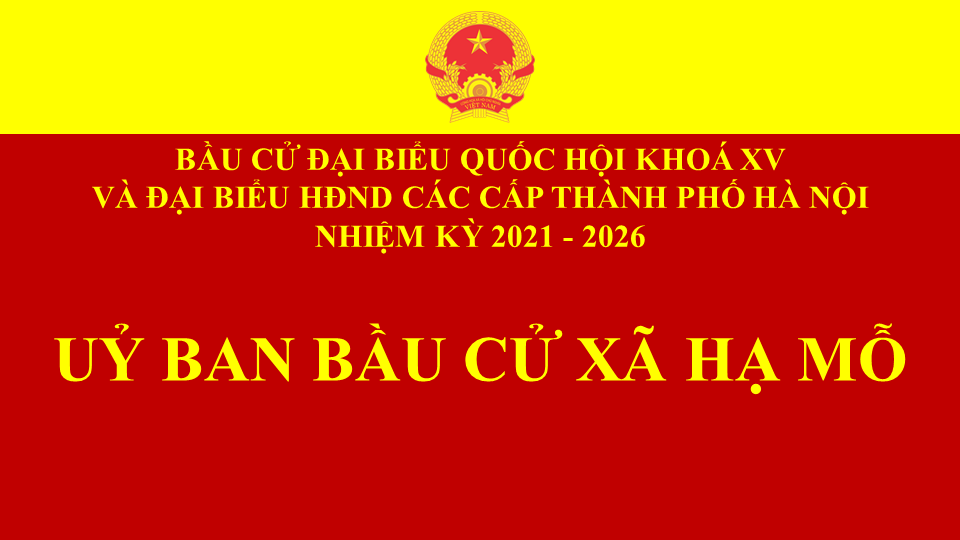 Hạ Mỗ công bố danh sách đại biểu HĐND xã nhiệm kỳ 2021 - 2026